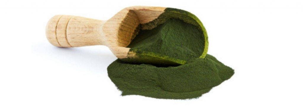 Chlorella 1000 1 PP-Chlorella-poeder