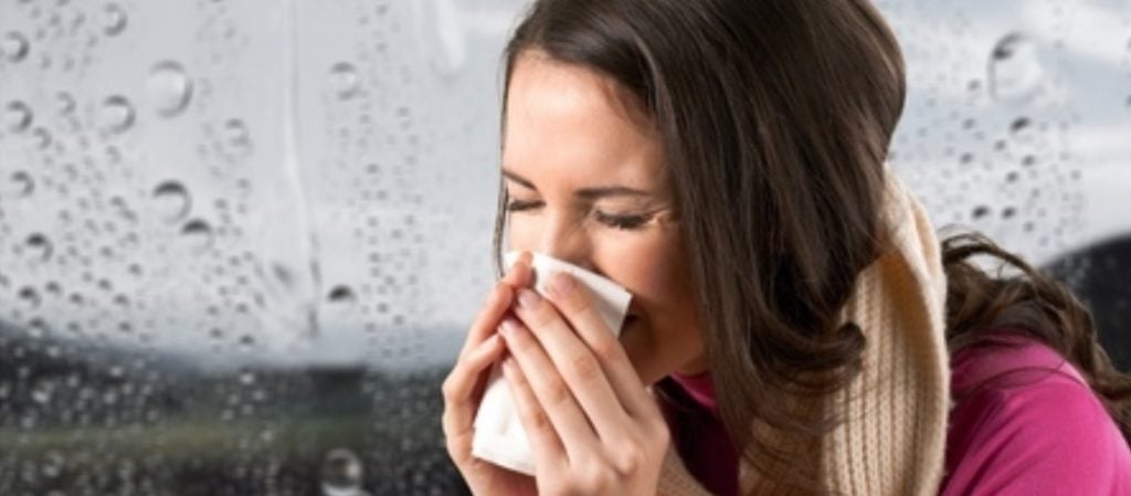 Je weerstand verhogen met Echinacea 2 verkoudheid-weerstand-verhogen-echinacea-7bees