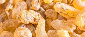 Blog 20 boswellia-capsules-7bees