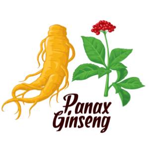 panax-ginseng-multivit-xtra-ginseng-tabletten