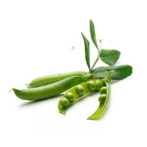 sojaboonextract-menox-xtra sojaboonextract-menox-xtra