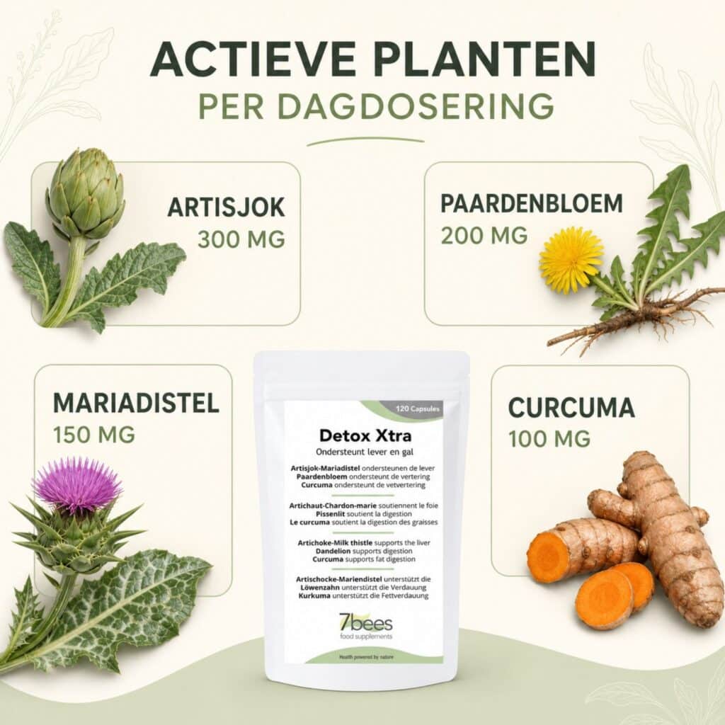 Detox Xtra - lever supplement met 4 plantenextracten - 120 capsules