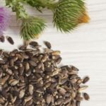 mariadistel-capsules-kopen-7bees