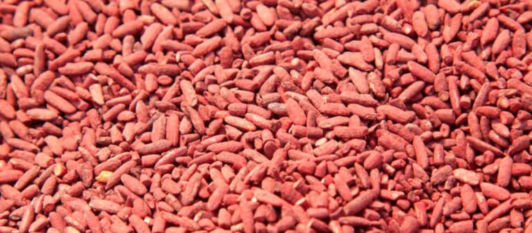 Rode gist rijst capsules