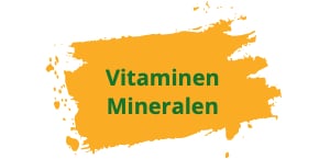 Vitaminen-Mineralen-menu