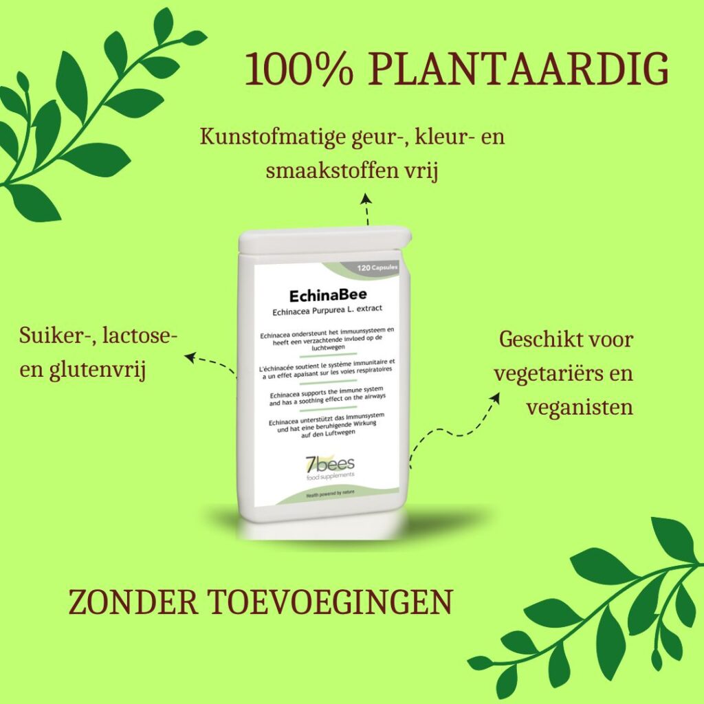 echinabee-echinacea-voordelen