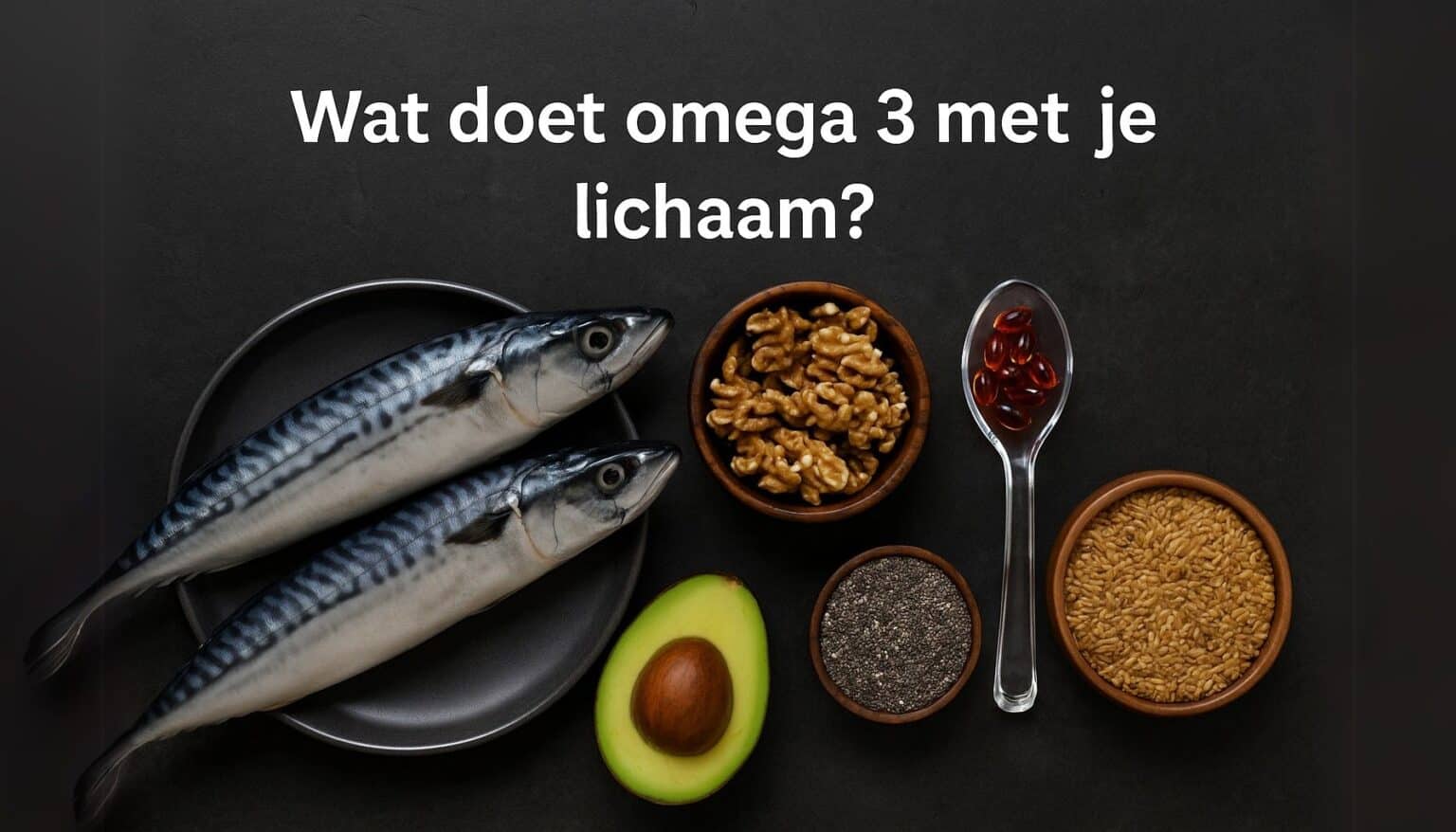 Doet Wat doet omega 3 met je lichaam?