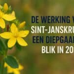 werking van sint-janskruid