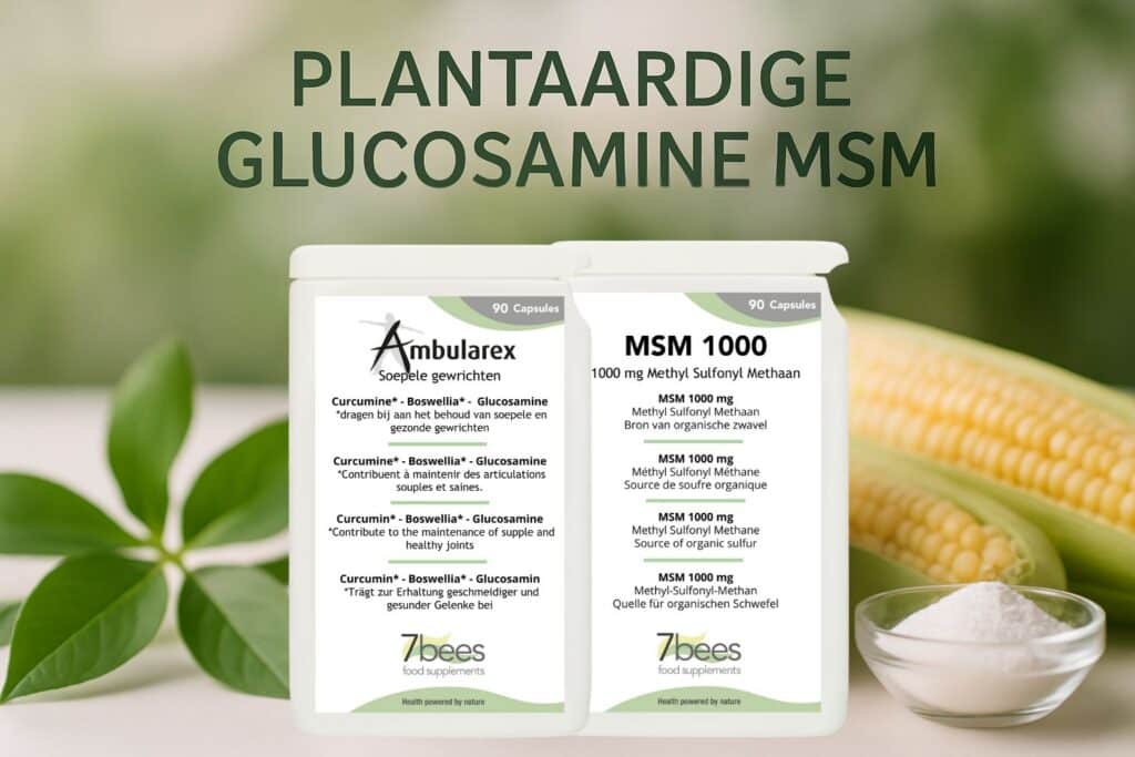 plantaardige glucosamine msm